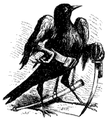 Camio - Dictionnaire Infernal