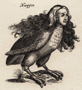 A harpy in Ulisse Aldrovandi's Monstrorum Historia, Bologna (1642)